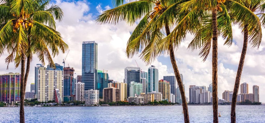 a city skyline with palm trees