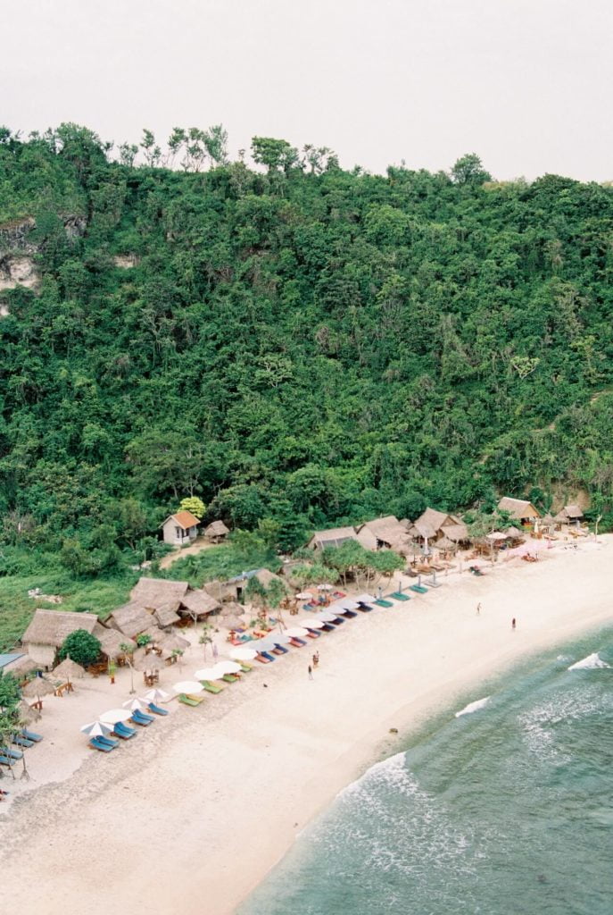 a tree on a beach